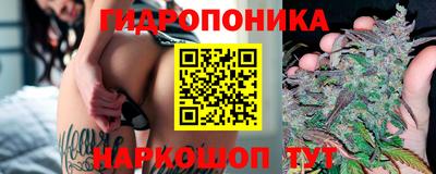 спиды Тара