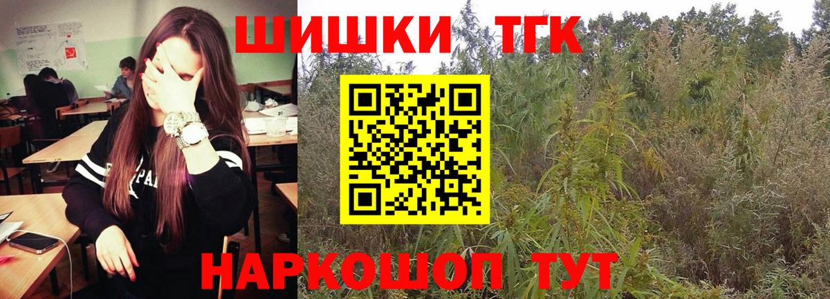 Бошки Шишки MAZAR Нурлат